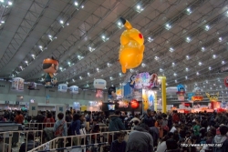 画像ギャラリー No.001のサムネイル画像 / 最新ホビーが一堂に会するキッズ向け展示会「次世代ワールドホビーフェア'10 Summer」。会場エリアを拡大し,6月19,20日開催