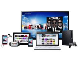 画像ギャラリー No.001のサムネイル画像 / ソニーが「Music Unlimited」体験会を開催。PS Vitaでのオフライン再生や,iOS対応にも言及