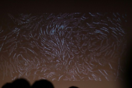 画像ギャラリー No.036のサムネイル画像 / 「新劇場版エヴァ」のカラーと「Fate/Zero」のufotableによる人材発掘セミナー「いま,デジタルで生きていくということ」