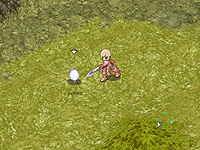 画像集#002のサムネイル/「RO」,獲得経験値が増える「2008年新春キャンペーン」を開催