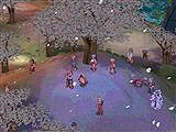 画像集#005のサムネイル/「RO」ゲーム内も桜が満開。「春だ!花見だ!〜桜宴会〜」を開催