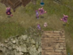 画像ギャラリー No.011のサムネイル画像 / 「RO」,洞窟探検から昆虫採集まで楽しめる“サマスぺ”が開催