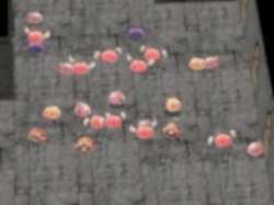 画像ギャラリー No.012のサムネイル画像 / 「RO」,洞窟探検から昆虫採集まで楽しめる“サマスぺ”が開催