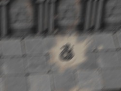 画像ギャラリー No.013のサムネイル画像 / 「RO」,洞窟探検から昆虫採集まで楽しめる“サマスぺ”が開催