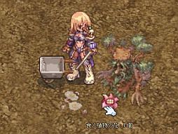 画像ギャラリー No.012のサムネイル画像 / 「RO」でイベント「サマースペシャル」が開催。今年の舞台は“海”