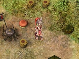 画像ギャラリー No.003のサムネイル画像 / 「RO」大型イベント「僕のドキドキ冒険記II〜ポリン海賊団と魔Qの秘宝〜」開催