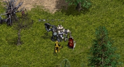 画像ギャラリー No.004のサムネイル画像 / 「リネージュ」,“真の”9周年アニバーサリー武器を手に入れよう