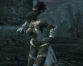 画像集#023のサムネイル/「リネージュII」,獲得経験値がボーナスで増加するバイタリティシステムの情報が本日公開