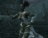 画像集#024のサムネイル/「リネージュII」,獲得経験値がボーナスで増加するバイタリティシステムの情報が本日公開