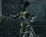 画像集#025のサムネイル/「リネージュII」,獲得経験値がボーナスで増加するバイタリティシステムの情報が本日公開