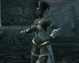 画像集#026のサムネイル/「リネージュII」,獲得経験値がボーナスで増加するバイタリティシステムの情報が本日公開