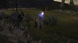 画像ギャラリー No.002のサムネイル画像 / 「リネージュII」,大型アップデート“クロニクルス”ではシステム面にも大きな変化。新スキルの追加や経験値テーブルの調整を予定