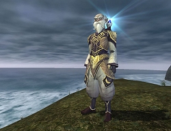 画像集#012のサムネイル/「EverQuest II」,公式サイトでゲームアップデート42の内容が公開に