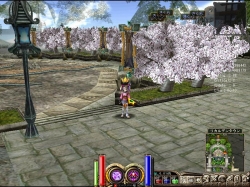 画像ギャラリー No.010のサムネイル画像 / 「プリストンテール」,特別なラインナップを扱う“行商人NPC”を探そう