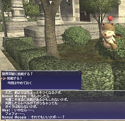 画像ギャラリー No.002のサムネイル画像 / 「FFXI」大規模アップデートが本日実施。レベルキャップが85に開放,新アドオン“アビセアの死闘”のプレイ解禁など,主な見どころを紹介