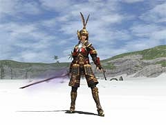 画像ギャラリー No.002のサムネイル画像 / 「FFXI」2011年度のアップデート計画をロードマップとともに公開