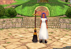 画像集#022のサムネイル/「マビノギ」の新規ペットは魔法使い気分を味わえる「ほうき」