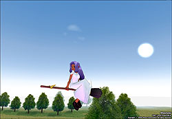 画像集#023のサムネイル/「マビノギ」の新規ペットは魔法使い気分を味わえる「ほうき」