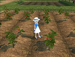 画像集#003のサムネイル/「マビノギ」に「農場」やダチョウ,ネア湖に生息するネッシー(?)っぽいボスが登場