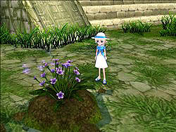 画像集#011のサムネイル/「マビノギ」に「農場」やダチョウ,ネア湖に生息するネッシー(?)っぽいボスが登場