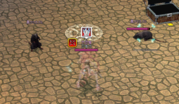 画像集#013のサムネイル/「マビノギ」にて日本先行アップデート「忍者」が6月18日に実施。日本で企画された新才能「忍術」のスキルを実装に先駆けて見せてもらった