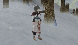 画像ギャラリー No.035のサムネイル画像 / 「マビノギ」で「うたわれるもの 偽りの仮面」タイアップが開始。ハクやクオンの衣装が登場