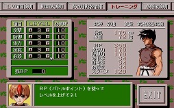 画像ギャラリー No.004のサムネイル画像 / 「プロジェクトEGG」で「VS 〜格闘王への道〜(PC-9801版)」が配信