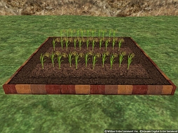 画像ギャラリー No.005のサムネイル画像 / 「Master of Epic」,作物の種を採取できる新システム「栽培」の続報が到着