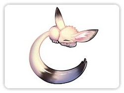 画像ギャラリー No.002のサムネイル画像 / 「パンヤ」,「アニマルパンヤリング(L)」などが入った「大感謝祭ボックス」が登場