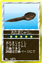 画像ギャラリー No.013のサムネイル画像 / 「競馬伝説」,2009年のG1勝利馬がエキシビションに参戦