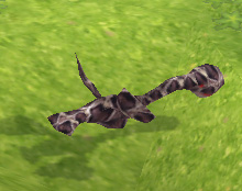 画像ギャラリー No.011のサムネイル画像 / 「M2-神甲天翔伝-」,お正月イベント“〜中原大陸のお正月2013〜”が開催