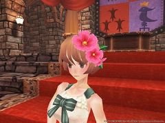 画像ギャラリー No.002のサムネイル画像 / 限定装備も。「FEZ」イベントなど盛りだくさんの“ヴィラーノ祭り”開催