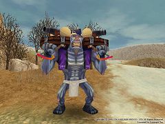 画像ギャラリー No.004のサムネイル画像 / 限定装備も。「FEZ」イベントなど盛りだくさんの“ヴィラーノ祭り”開催