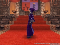 画像ギャラリー No.035のサムネイル画像 / 「FEZ」,8月23日に“花”をテーマにしたカジノ防具が新登場