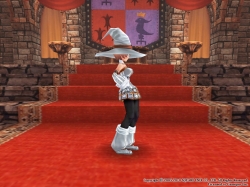 画像ギャラリー No.046のサムネイル画像 / 「FEZ」,8月23日に“花”をテーマにしたカジノ防具が新登場