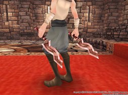 画像集#037のサムネイル/「FEZ」新たな召喚獣が登場するイベント開催&アクセデザインコンテスト実施