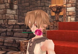 画像ギャラリー No.010のサムネイル画像 / 「ファンタジーアース ゼロ」で夏の祭典“ヴィラーノフェスティバル”が開催