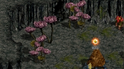 画像ギャラリー No.006のサムネイル画像 / 「RED STONE」,大型アップデート本日実施。3次転生の実装や,新たなダンジョンおよびクエストなどが追加