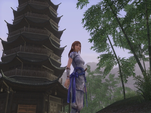 画像ギャラリー No.001のサムネイル画像 / 2年にわたる合戦に幕。コーエーテクモゲームス,「三國志 Online」のサービスを7月19日をもって終了