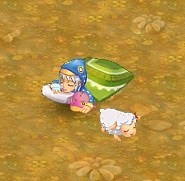 画像集#017のサムネイル/「君主 online」本日アップデート実施でPvPシステムなど実装。秋の収穫イベントやレベル達成イベントなど開催