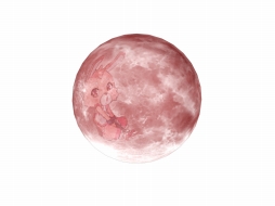 画像ギャラリー No.011のサムネイル画像 / 「ペーパーマン×Fate/Zero」コラボ第2弾が実施。ほか新マップが追加