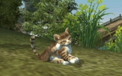 画像ギャラリー No.012のサムネイル画像 / 「Perfect World」が“ゲームセンターCX特命課調査室”とコラボ