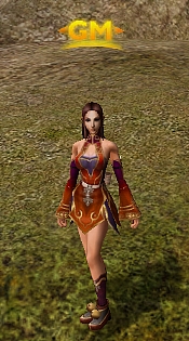 画像ギャラリー No.001のサムネイル画像 / 「METIN2」の正式サービスが本日スタート。“1次村”周辺でゲームマスターを見かけたら,強力な支援スキルをかけてもらおう