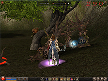 画像ギャラリー No.014のサムネイル画像 / 「METIN2」,マップ追加/結婚システム実装/レベルキャップ開放などを行う最新アップデートが本日実装