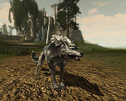 画像集#009のサムネイル/GvG特化型MMORPG「R2」のクローズドテスター募集を本日15:00より開始!【4Gamer読者枠2000人分を用意】