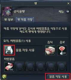 画像ギャラリー No.015のサムネイル画像 / 「AION 2.5」の主要システムアップデートを確認。新機能「パーティコンパニオンシステム」やキャラクターカスタマイズ,ペットシステムの強化も
