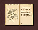 画像集#003のサムネイル/SFストラテジーの個性派作品,「Galactic Assault:Prisoner of Power」のデモ版を掲載