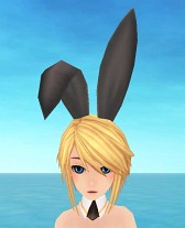 画像ギャラリー No.014のサムネイル画像 / 「TARTAROS」,セクシーな新アバター「バニーシリーズ」が新くじに登場