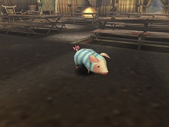 画像集#016のサムネイル/「MHF」12月のリファインアップデート第3報:古龍レア素材が入手しやすくなるなど,プレイヤー必見の情報が満載