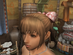 画像集#021のサムネイル/「MHF」12月のリファインアップデート第3報:古龍レア素材が入手しやすくなるなど,プレイヤー必見の情報が満載